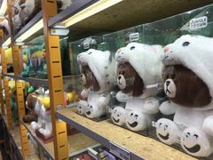 -line friends(明洞旗舰店)