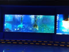 -重庆欢乐海底世界