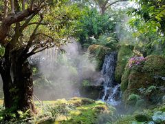 -Chom Cafe and Restaurant