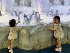 -芜湖新华联大白鲸海洋公园