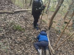 -铁山坪森林公园