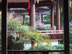 -杭州黄龙洞