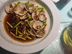 -三强鸽子(中原路店)
