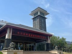 -东海森林温泉