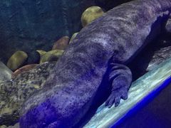 -重庆欢乐海底世界
