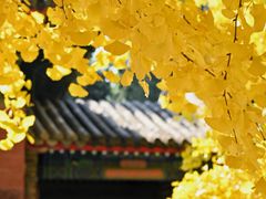 -承恩寺