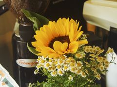 -WATER CAFE(广厦店)