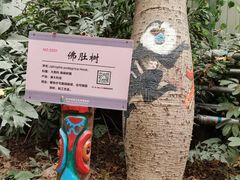 -呀路古热带植物园