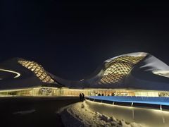 -哈尔滨大剧院