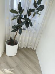 -HEYAN荷妍专业脱毛连锁机构