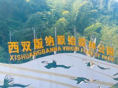 -西双版纳原始森林公园