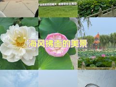 -南戴河国际娱乐中心