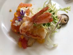 -蝶舍·MAISON PAPILLON