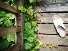 -北京宽沟会议中心