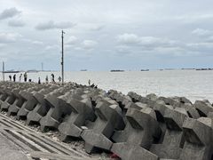 -上海滨江森林公园
