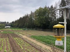 -前小桔亲子创意农场·草莓采摘·露营烧烤