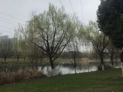 -九里河湿地公园