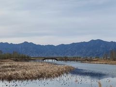-野鸭湖国家湿地公园
