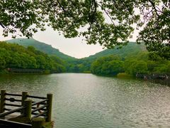 -白马涧龙池景区