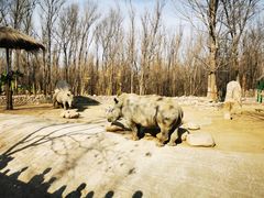 -北京野生动物园