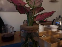 -瓦舍茶馆(聚源路店)