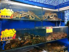 -蚝专家(北滘店)