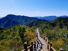 -大岭沟猕猴桃谷风景区