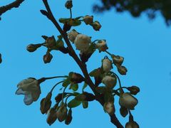 -苏州河梦清园环保主题公园