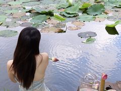-明翠湖品·湖景餐厅