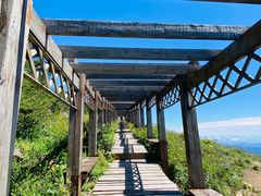 -白草畔自然风景区