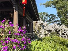 -江心屿景区