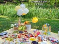 -上海共青森林公园