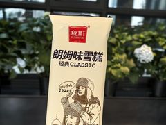 -汤旺河林海奇石景区