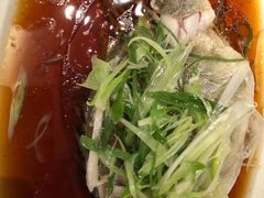 -常州环球恐龙城维景国际大酒店