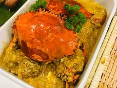 -茉莉.Red Crab