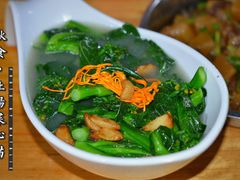 上汤菜心苗-石岐乳鸽村(桥观坊南四巷店)