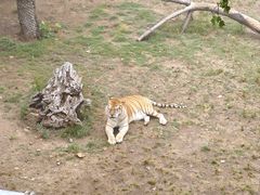 -西霞口神雕山野生动物世界
