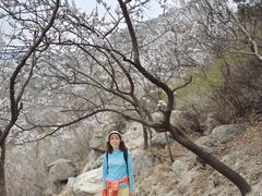 -大觉寺-停车场