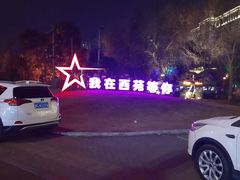 -西苑公园