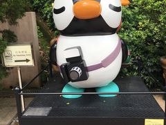 -九龙公园