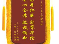 -全心全意连锁动物医院·微创中心·内科急重症·心脏专科(丰管路店)