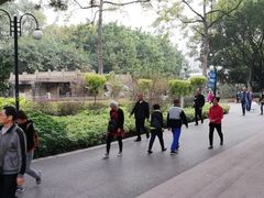 -晓港公园