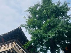 -香积寺
