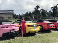 -丽姐租车