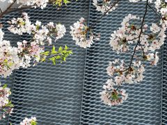 -龙美术馆(西岸馆)