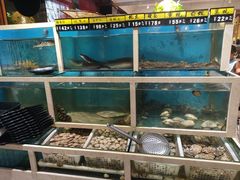 -泰白海鲜烧烤大全