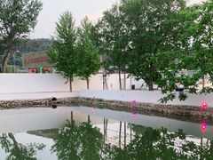 -向外鱼乐·土菜·虹鳟鱼