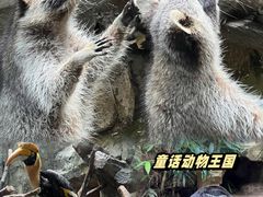 -长鹿旅游休博园