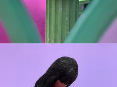 -福州海峡文化艺术中心