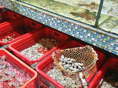 -巽寮印象美食部落餐厅·海鲜·地方特色菜(惠州体验店)